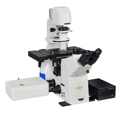 Confocal Microscopes