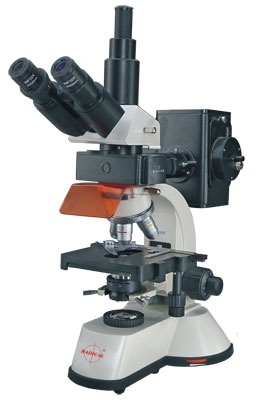 Fluorescence Microscope RFM-1