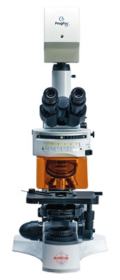 Fluorescence Microscope RFM-4