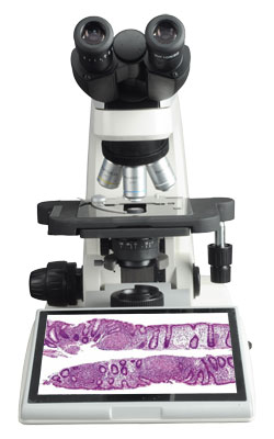 Digital Biological Microscope RXLr-4D